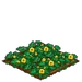 Super Pattypan 66