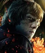 DH2 IAE Ron