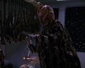 Algolian musician.jpg
