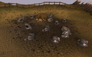 Fremmy mining area