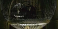 Birdcage HBP.jpg