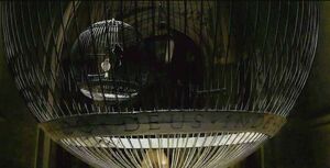Birdcage HBP