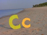 C, You're Cool