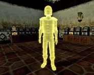 SierraMadreSecurityHologramYellow