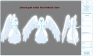 Modelsheet guardianangel