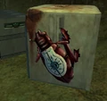 Borer beetle.jpg