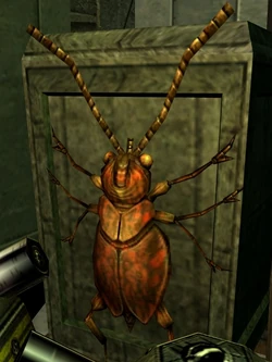 FlameBeetle-SWG