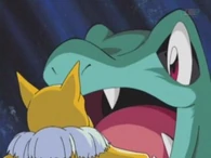 EP273 Totodile de ash usando malicioso
