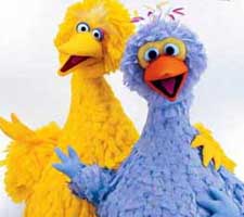 BigBirdandPino