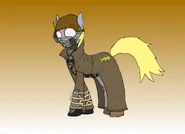Veteran Ranger Pony