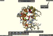 Foldit 1313226142