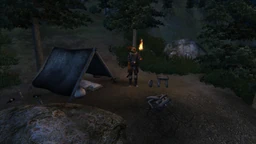 Camp Ales