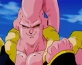 Superbuu1