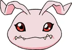 Koromon t