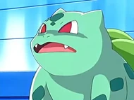 EP467 Bulbasaur confundido