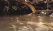 Scavian Slug