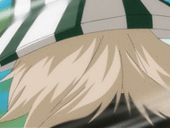 http://images4.wikia.nocookie.net/__cb20110821153303/bleach/en/images/8/82/NakeBenihime.gif