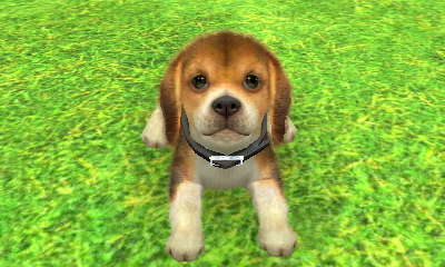 Nintendogs+Cats 8