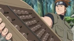 NSFolge224