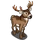Mule Deer
