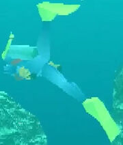 Diver
