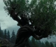 Willow.png