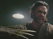 Loganboneclawfight