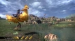 FangRidingChocobo