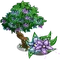 Star Flower Tree-icon