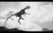 Raptor flashback