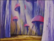MushroomForest2