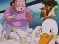 17Ducks