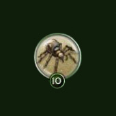Spiderlings