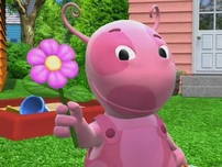 Flowerpower