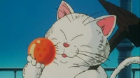 KarinHoldingDragonBall