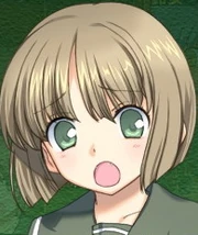サチコ・センターズ