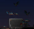 13 harpies.png