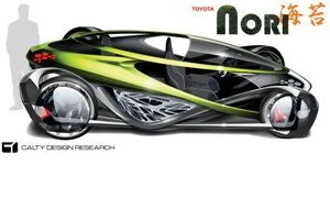 Toyota-Nori-1msall