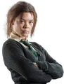 PromoHP7 Pansy Parkinson.jpg