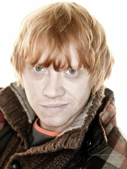 PromoHP7 Ron Weasley