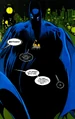 Batman 0611
