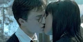HarryCho.jpg