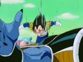 VegetaKillsBurterNV
