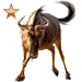 Wildebeest