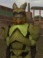 Dakk.jpg