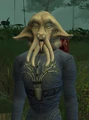 Dagorel.jpg