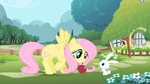 Fluttershy opening theme