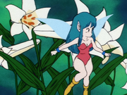 Fairy.Ep.104