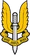British SAS Insig