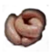 Sausages
